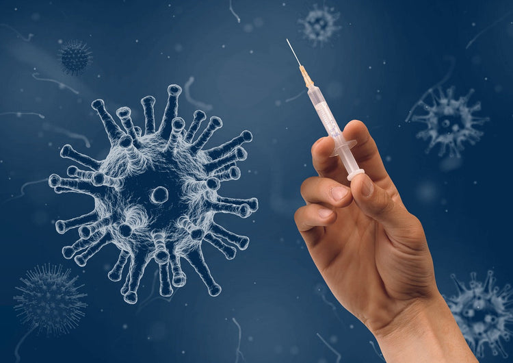 Allergologie und Immunologie